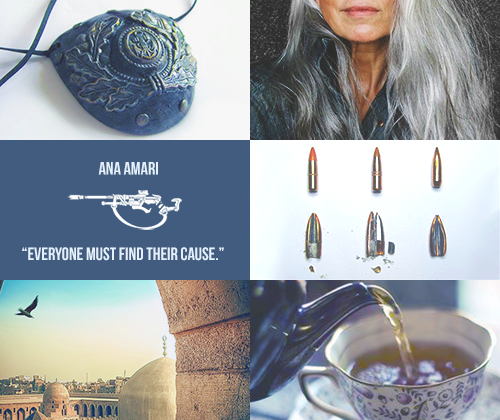 pettiwhiskers:  Aesthetics:    ♛  Women of Overwatch 