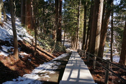 戸隠神社、奥社は雪深く行けませんでした…。美味しいお蕎麦食べて日光浴。2020.3