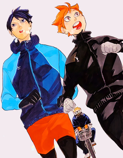 masterofprovocationkurookun:Haikyuu!! ⭐ Light Novel ⭐ Volume 9 Cover