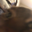 beaneatsbones