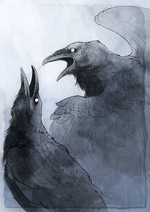 Sex fuckyeahpaganism:  In Norse mythology, Huginn pictures