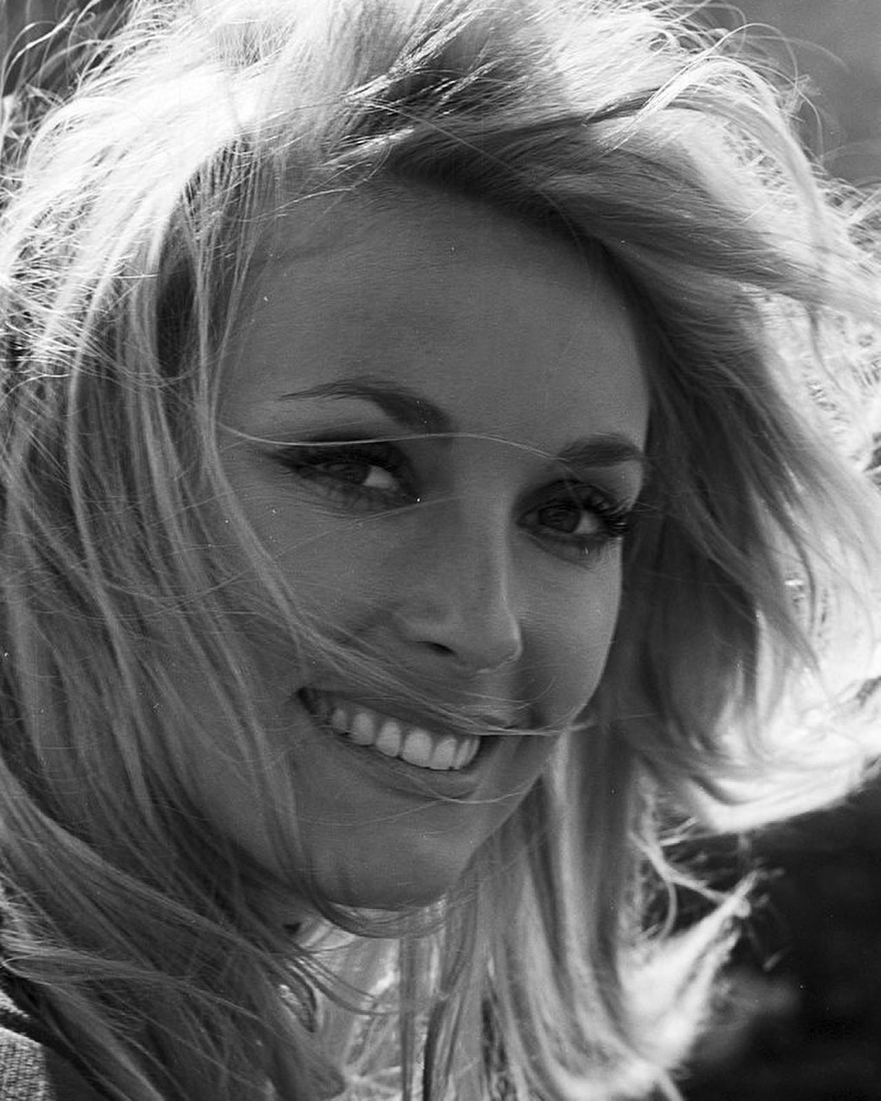 Porn Pics lovingsharon:SHARON TATE photographed by