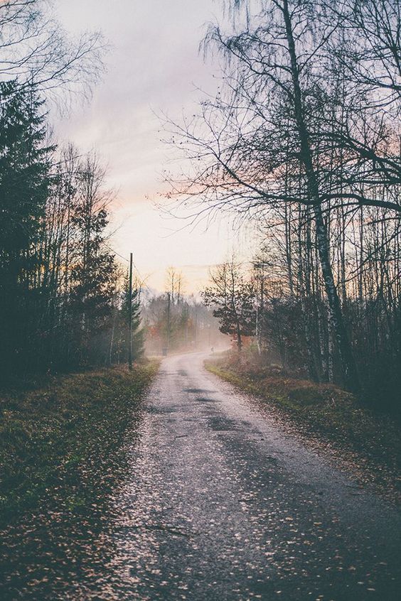 Endless Scenery — urbanissues: vertical landscapes