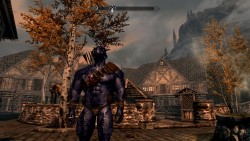 (Have More Of These Shots From Skyrim, Coming Straight From Riften~)I Found My Fellow