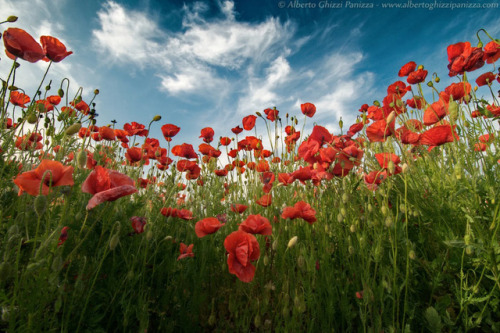 Photographer Alberto Ghizzi Panizza (Italy)  500px  Facebook  Instagram  Flickr National Geographic 