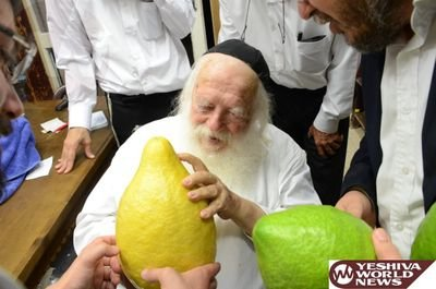 Fuck It, Rabbis Looking At Giant Etrogim Photo Dump