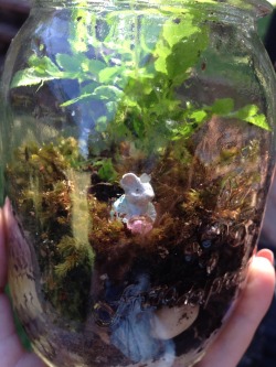 lunarfawns:  Made a terrarium finally !!! (With a little mouse) 