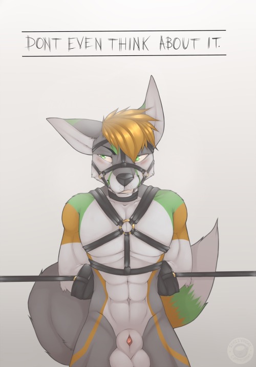 azure-n-saby: SpazzyHusky BDSM part two (canids from least liked to greatest liked but I love them all) 