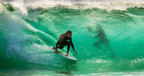 Sobre y debajo de las olas
