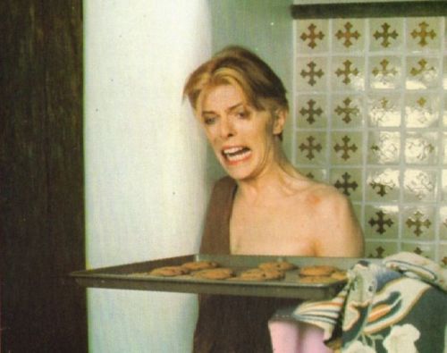 yourfluffiestnightmare: glitterypin: The 10 most beautiful photos of David Bowie it’s back!