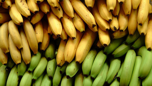 Bananas: Famous fruit faces fatal fungus
The devastating banana fungus has now spread to new parts of the globe.