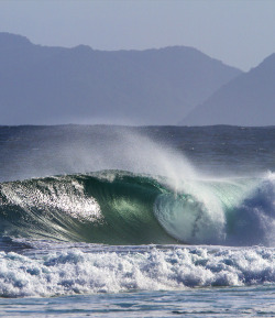 wslofficial:  The 2015 #OiRioPro is ON /