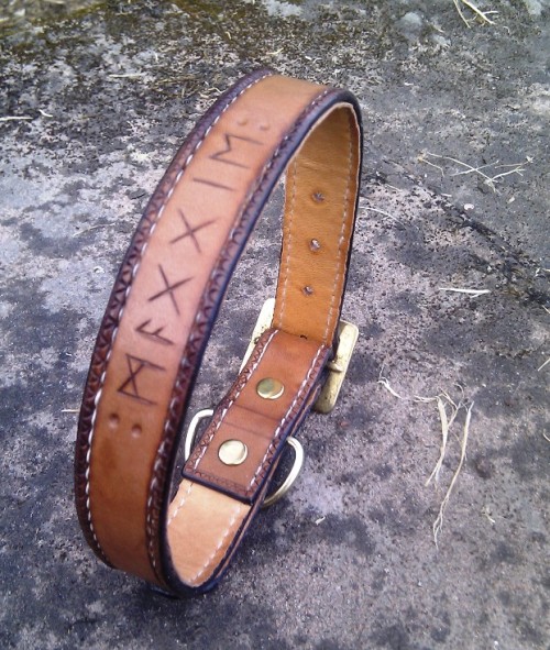 perceptionofadove:  Leather Dog Collar by Half-Goat