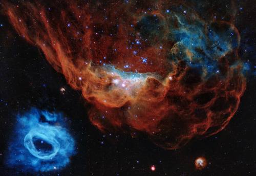 NGC 2014 and its neighbor NGC 2020 !This image is one of the most photogenic examples of the many tu