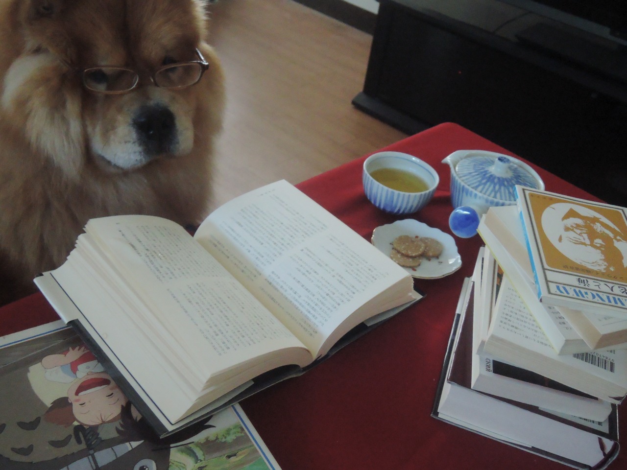 chow29dora:  読書の秋。 Fall is the best season for reading. In the past, it