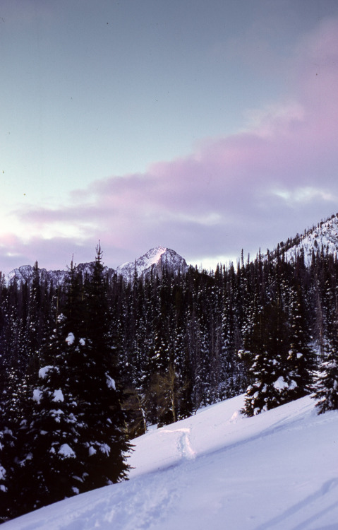 1/25/19Fujifilm Provia 100f slide film shot through my Nikon FM at the Williams Peak Yurt in Idaho. 