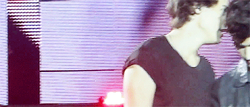 zaynsharold:Zayn & Harry → Loved you first, Berlin (11/5/2013) [x]