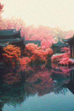 vintagepales:  Autumn in China 
