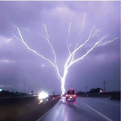 humoristics:  Treemendous lightening - via