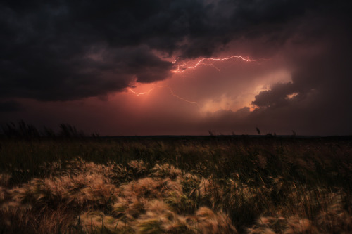 earthandanimals:  Elusive gigawatts of energy by marateaman 