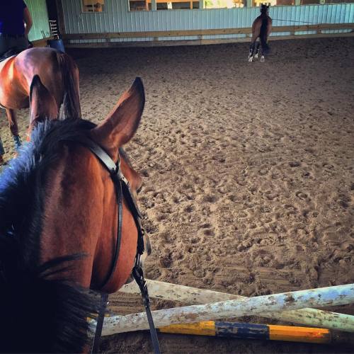 Atop my new ride waiting for our turn #latergram #funemployment