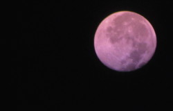 emresxner: The Moon was pink and purple this morning at 4:33am