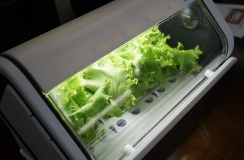 attrip: 自宅で野菜を自給自足、約3万円のIoT水耕栽培キット「やさい物語」を沖縄セルラーが来年2月に発売 - Engadget 日本版