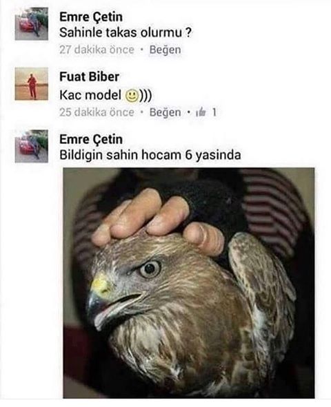 - Şahinle takas olur mu?
+...