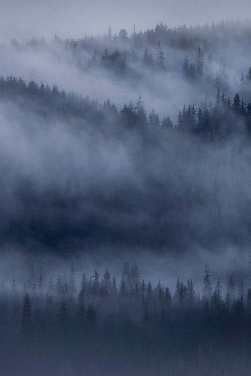 moody-nature: Dark Mountain Mist | By Matthew Studebaker