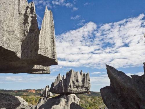 ancientorigins - Tsingy, Ancient Stone Forest, Madagascar.