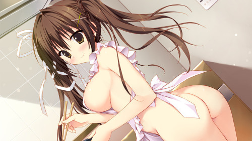 hentaibeats:  Apron Set 2! Requested by @draggoonberry!(ﾉ◕ヮ◕)ﾉ*:･ﾟ✧ All art is sourced via caption! ✧ﾟ･: *ヽ(◕ヮ◕ヽ)Click here for more hentai!Click here to read the FAQ and Rules before requesting!Feel free to request sets