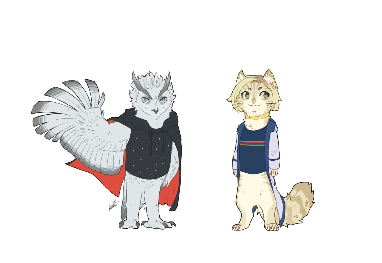 reshipkmn:  Doctor… Who?