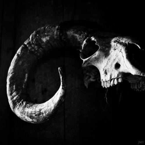 DEATH IS ONE GREAT ABSTINENCE.