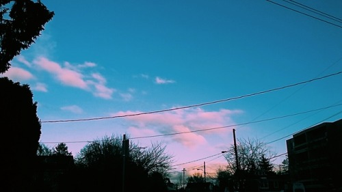 twilight–galaxies:xo