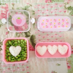 pastel-cutie:  I made a cute bento box today!