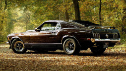 jrs1717:  Ford Mustang Mach 1