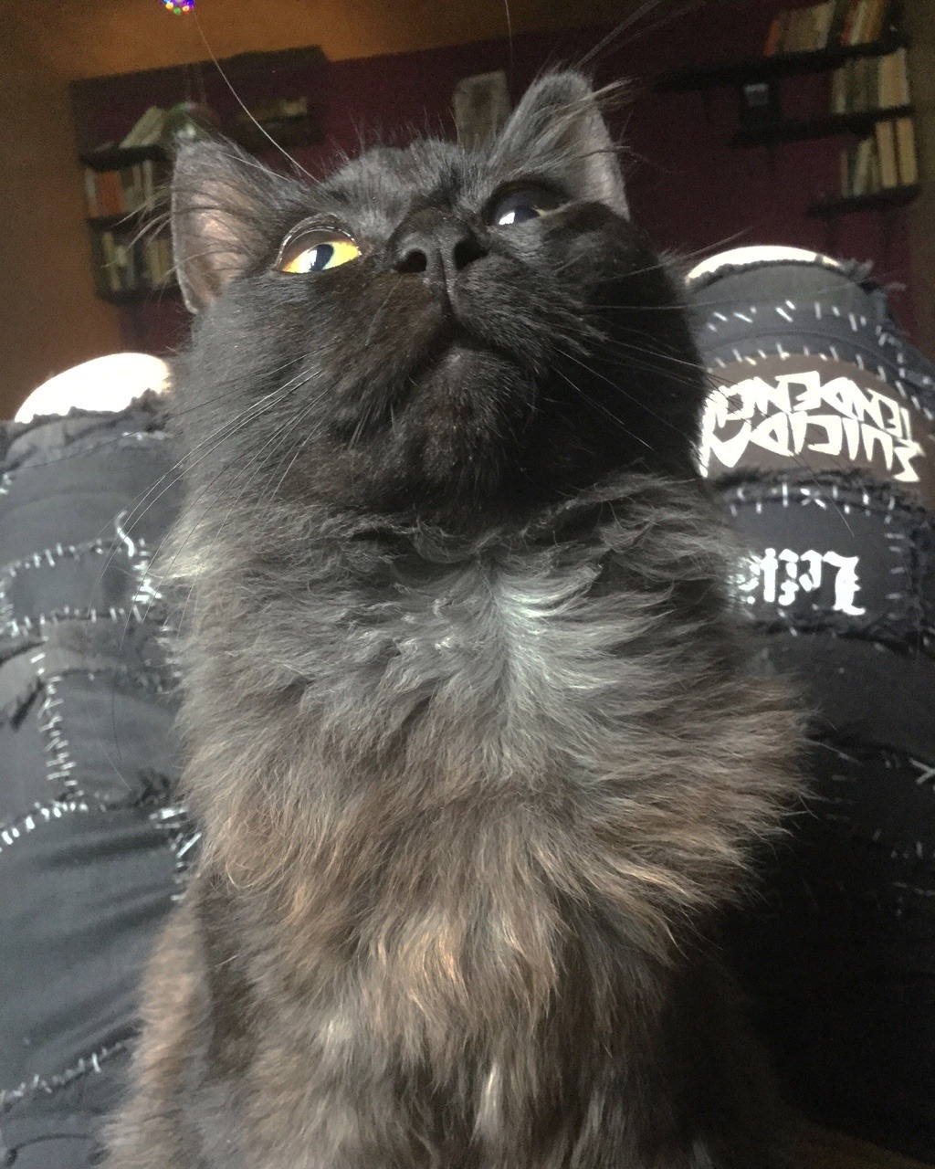 sludgelung:  captain brexit smudgebeard is contemplating life and the ancient art