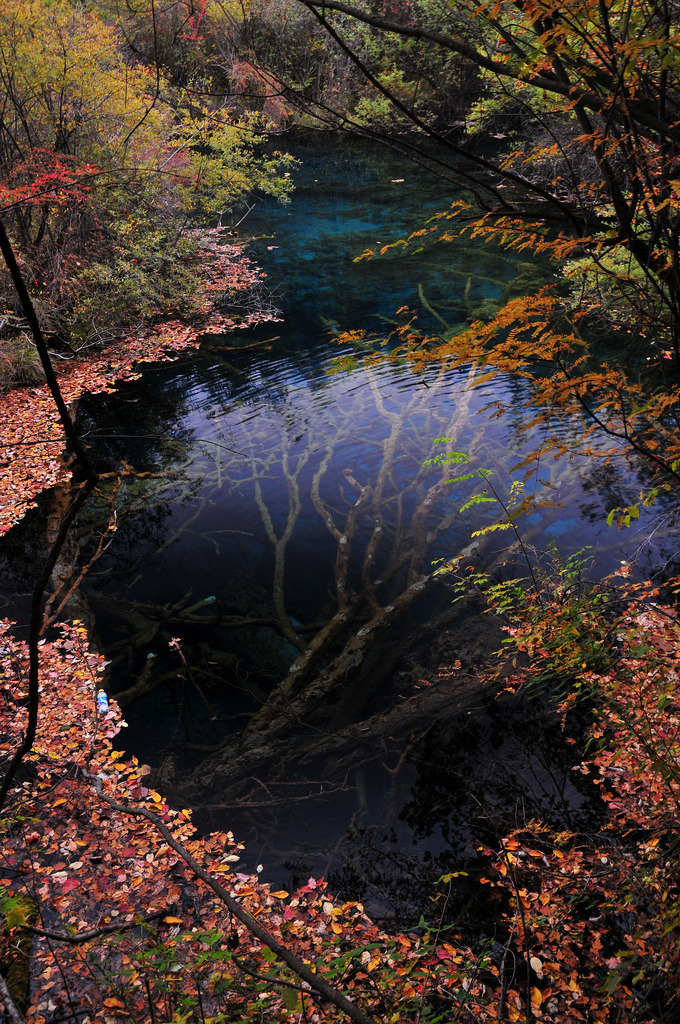 brutalgeneration:  woods 五花海 (by Melinda ^..^) 