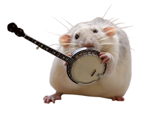 snailspng:Rat orchestra PNGs