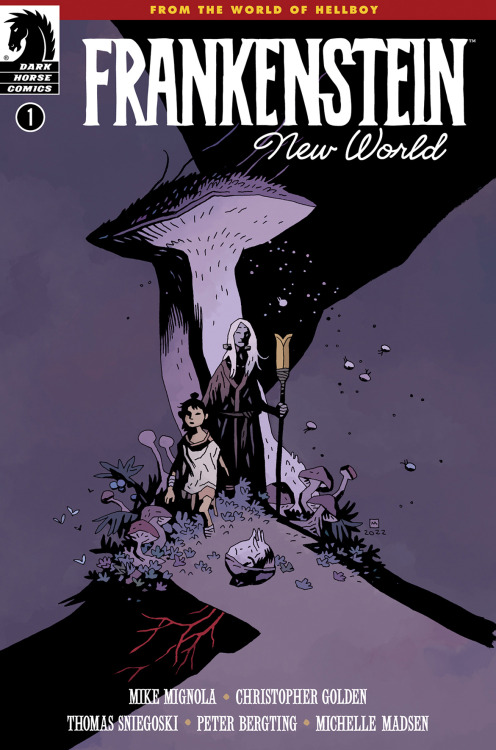 brokehorrorfan:From the world of Hellboy comes Frankenstein: New World. The first issue in the four-