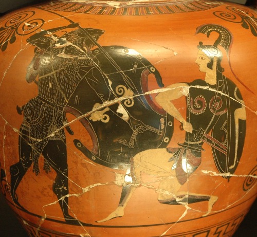 Heracles battles the Amazons.  Attic black-figure amphora, unknown artist showing affinities with Gr