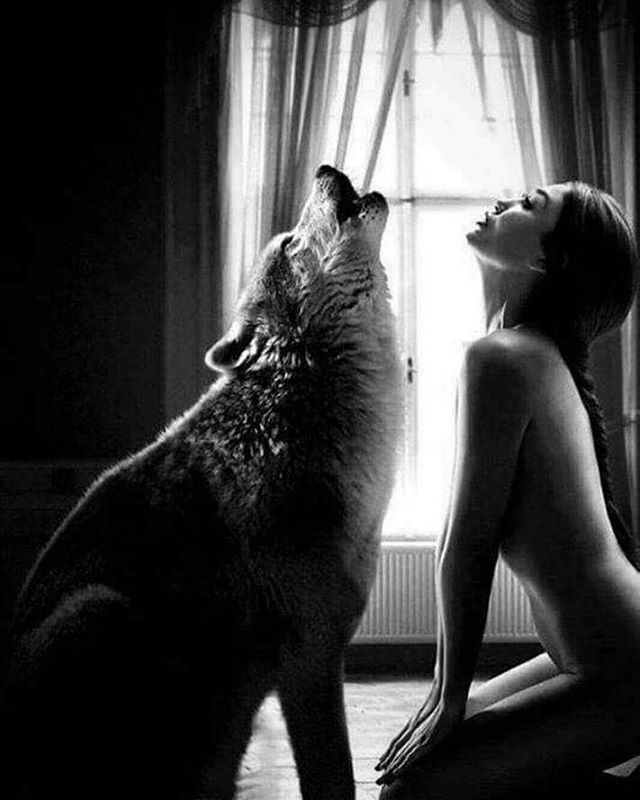 selinaminx: growlbadkitty: 