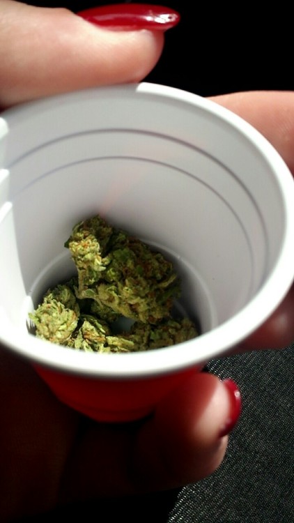 brendchilada:  got bud served to me in a mini red solo cup 😂 