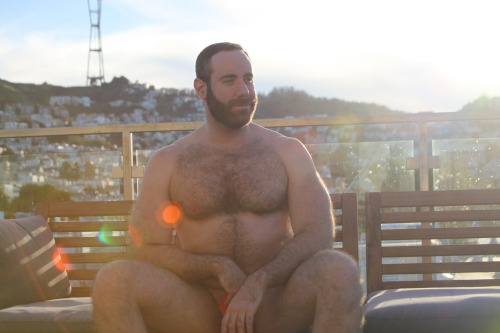 Osos del mundo (Bears of the world)