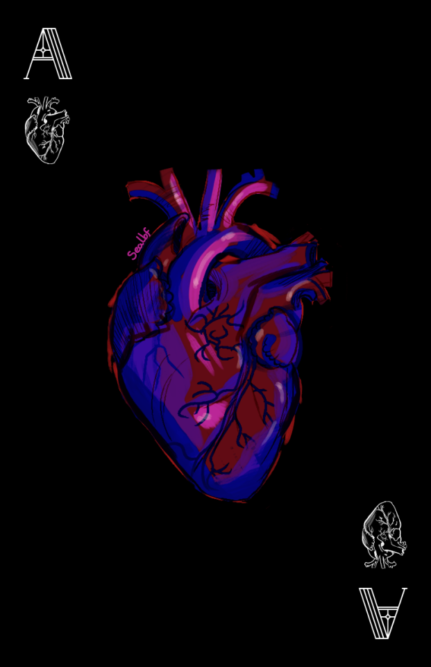 The ace of hearts card. The heart in the center is anatomically correct, and is illustrated in a loose painting-like style. The colours used primarily are blue, purple, red and pink. The shading is unnatural and dynamic. 