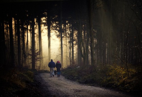 Sex morethanphotography:  The way to the light pictures