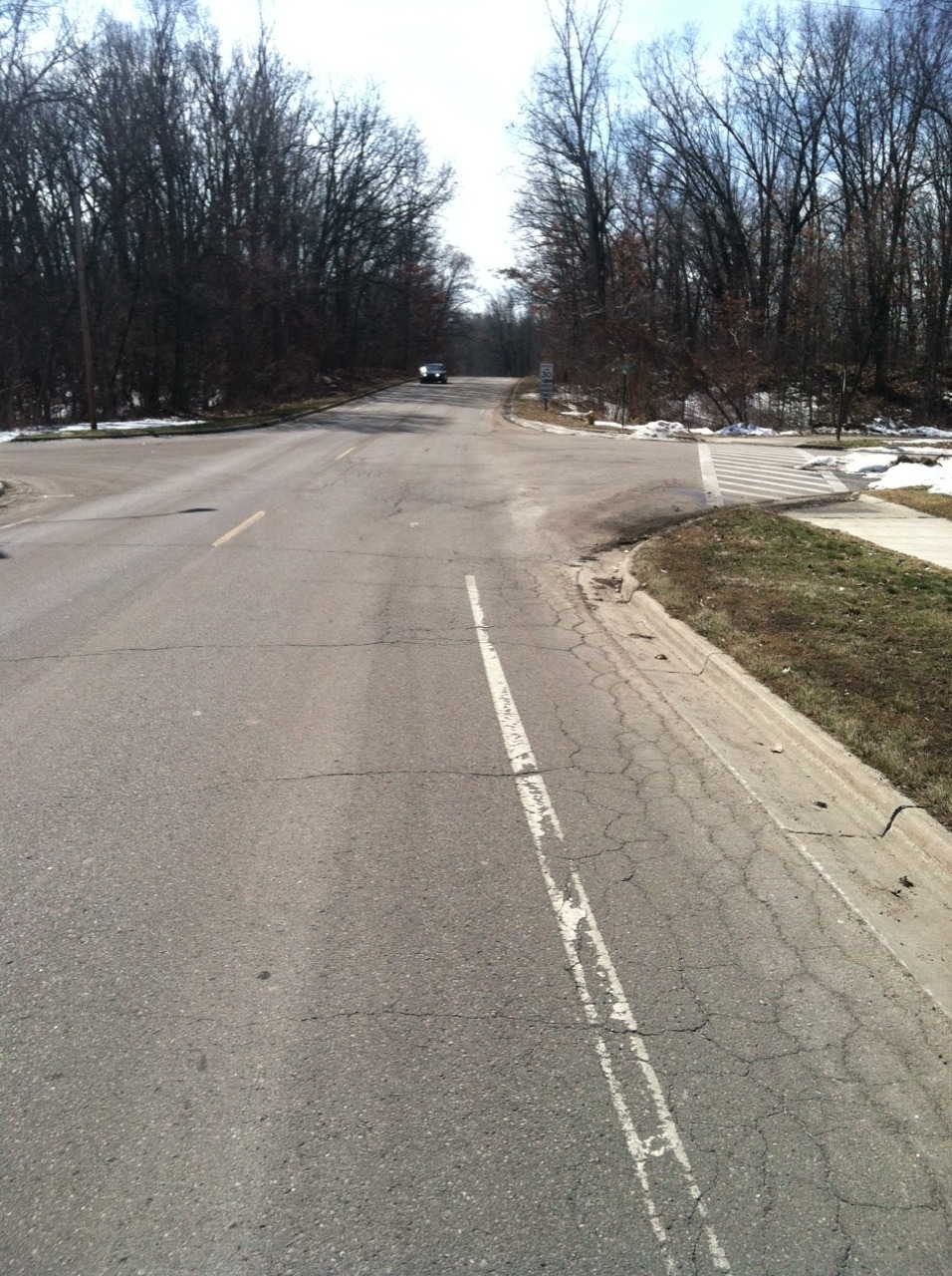 yupyupyupmeow:  First long skate of the year! datsmeslootea