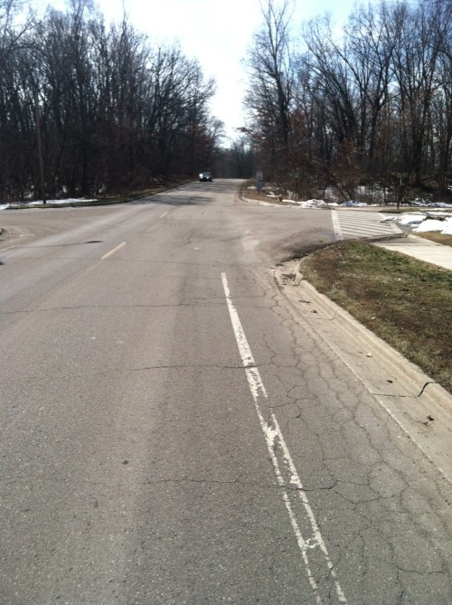 Sex yupyupyupmeow:  First long skate of the year! pictures