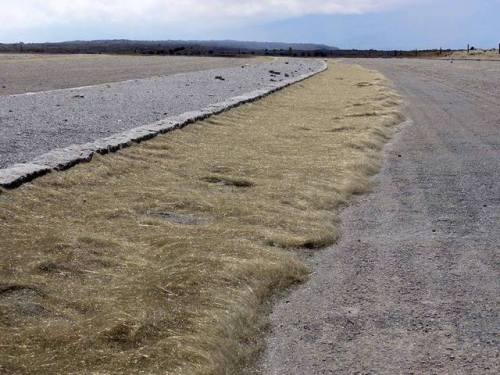 Pele’s hairWhen you first look at the pictures below, perhaps you might think about straw or hair, b