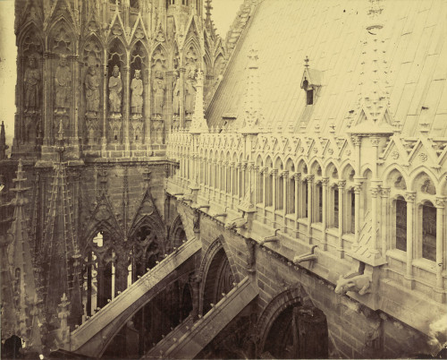 gnossienne:Reims Cathedral, view from tower over buttresses (ca. 1880-ca. 1895)